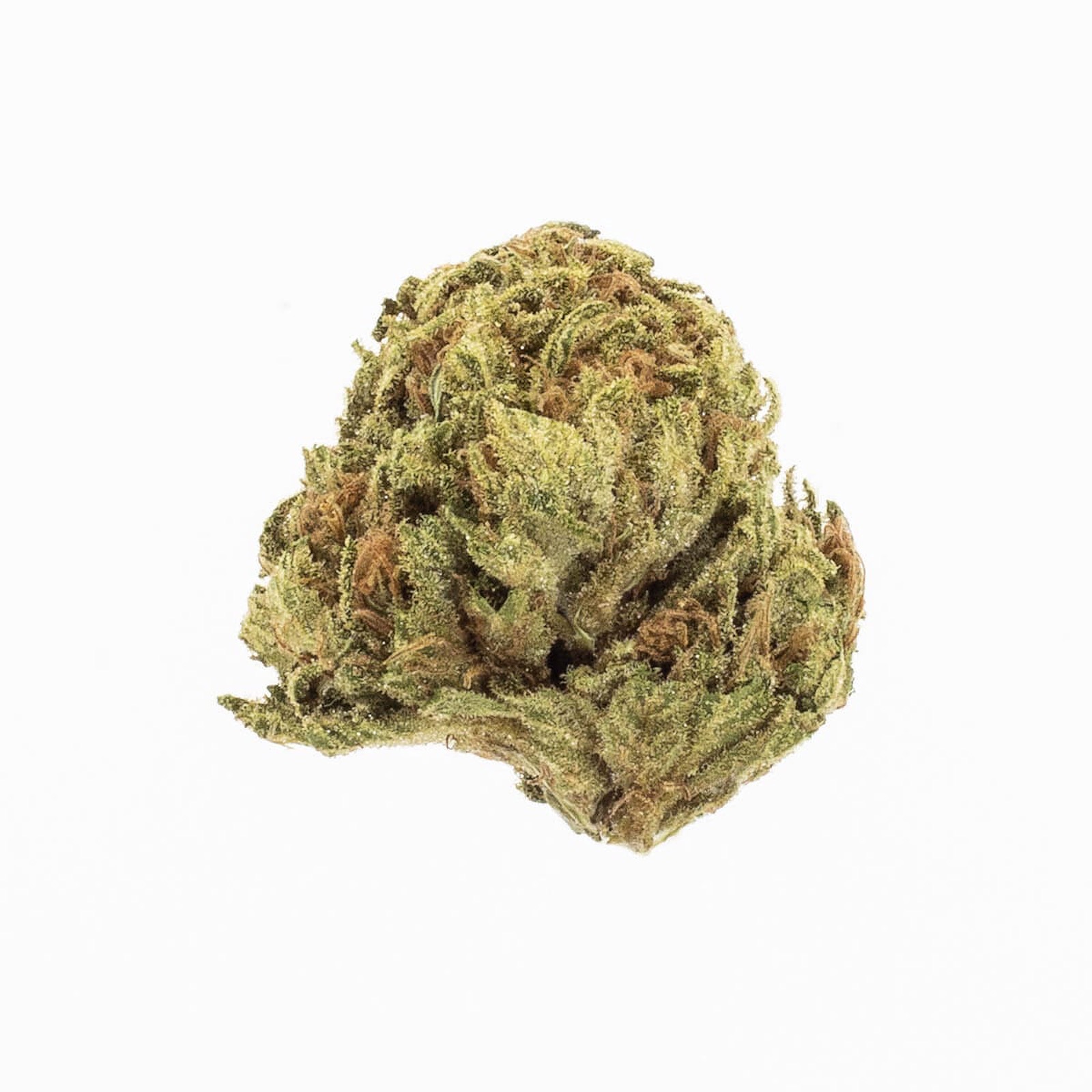 Do-Si-Dos - Indica / Hybrid - 22.05%